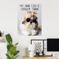 My Shih Tzu Is Cooler Than You Sunglasses Photo