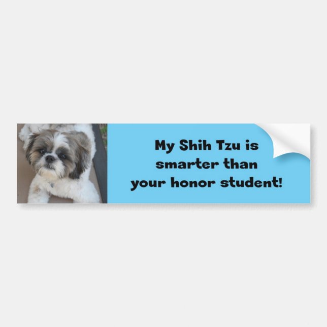 "My Shih Tzu is smarter than your honour student" Bumper Sticker (Front)