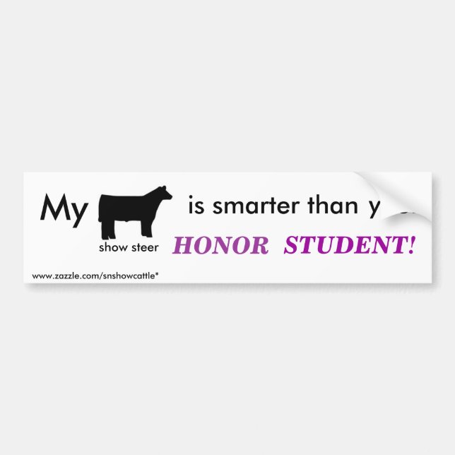 My Show Steer is smarter than.... Bumper Sticker (Front)