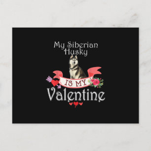 My Siberian Husky Dog Is My Valentine Present Postcard