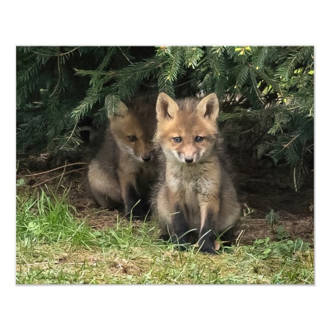 My Sibling Photo Print (Front)