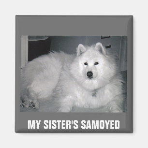 MY SISTER'S SAMOYED MAGNET