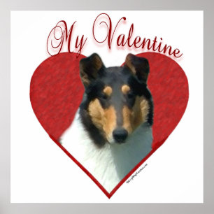 My Smooth Collie Valentine; Tricolor Collie Poster