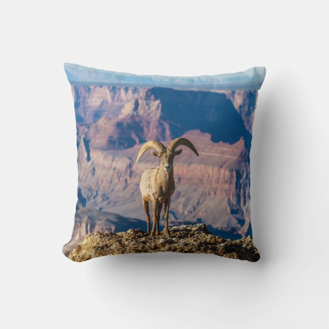 My Space Grand Canyon Pillow (Front)