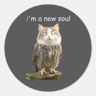 My Srit Animal Funny Meowl, Cursed Cat Owl Brainro Classic Round Sticker