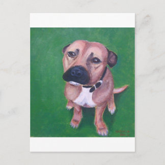 My staffy 2012 postcard