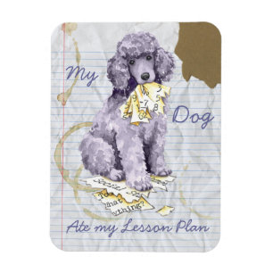 My Standard Poodle Ate my Lesson Plan Magnet