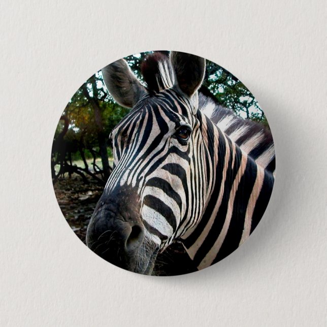 My  Strippy Friend 6 Cm Round Badge (Front)