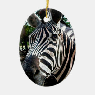 My  Strippy Friend Ceramic Tree Decoration