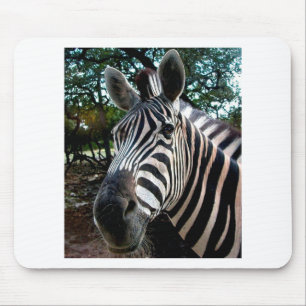 My  Strippy Friend Mouse Mat