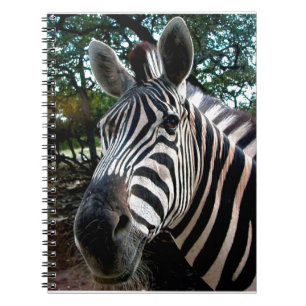 My  Strippy Friend Notebook