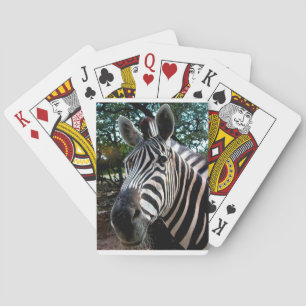 My Strippy Friend Playing Cards