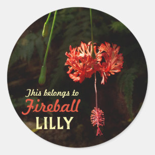 My Stuff with Japanese Lantern Classic Round Sticker