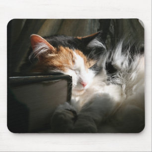 My sunbeam mouse mat