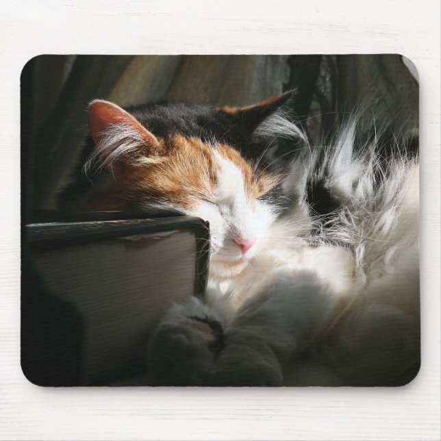 My sunbeam mouse mat (Front)