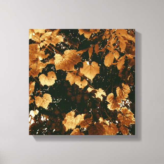 My Sweet Autumn Leaves Canvas Print (Front)