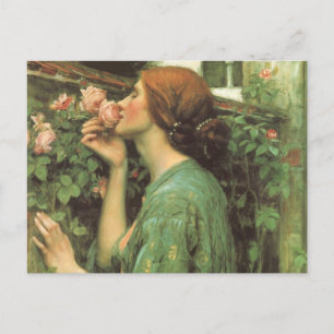 My Sweet Rose, or Soul of the Rose by Waterhouse Postcard