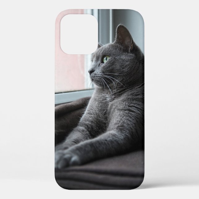 MY SWEETHEART ROUTER  RESCUED KITTEN Case-Mate iPhone CASE (Back)
