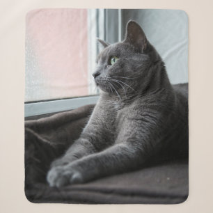 MY SWEETHEART ROUTER  RESCUED KITTEN SHERPA BLANKET