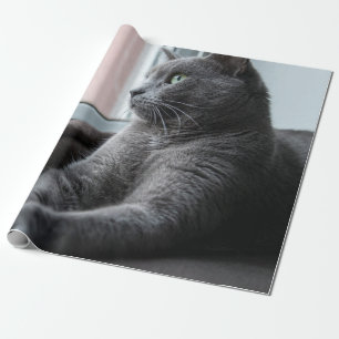 MY SWEETHEART ROUTER  RESCUED KITTEN WRAPPING PAPER