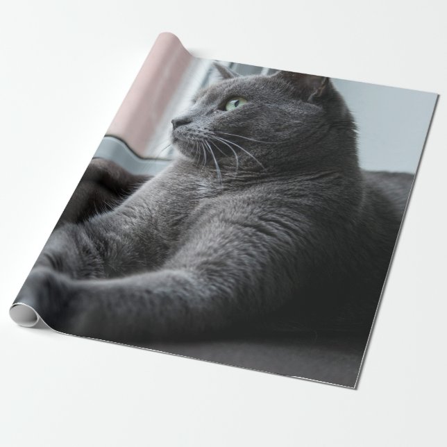 MY SWEETHEART ROUTER  RESCUED KITTEN WRAPPING PAPER (Unrolled)