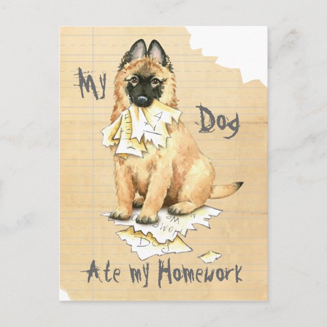 My Tervuren Ate My Homework Postcard (Front)