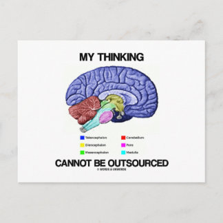 My Thinking Cannot Be Outsourced (Brain Anatomy) Postcard
