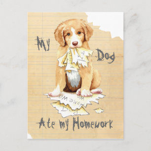 My Toller Ate My Homework Postcard