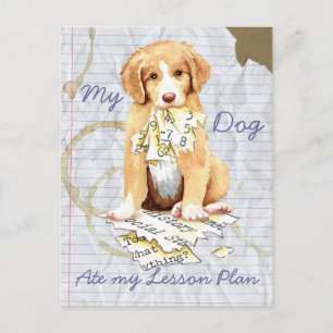 My Toller Ate My Lesson Plan Postcard