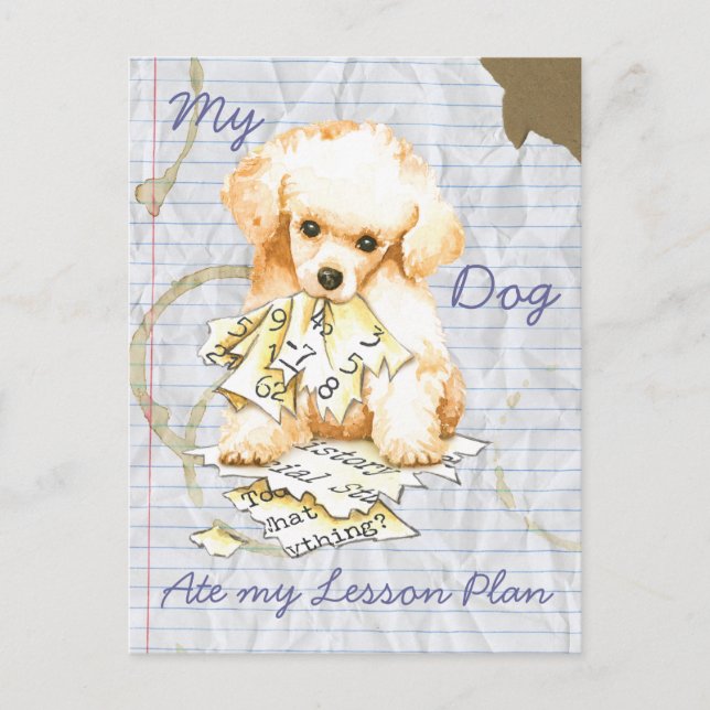 My Toy Poodle Ate my Lesson Plan Postcard (Front)