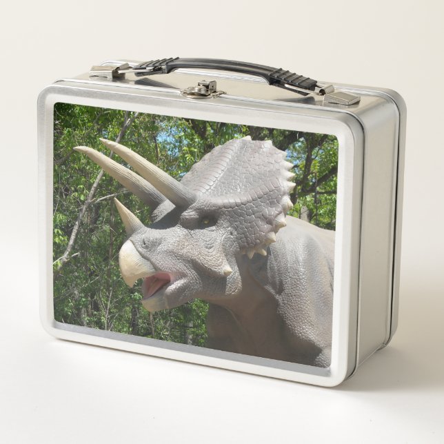 My Triceratops Dinosaurrs  Metal Lunch Box (Front)