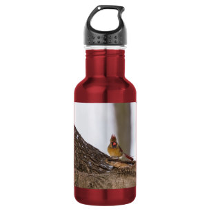 My Troll Do 532 Ml Water Bottle