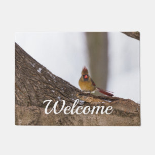 My Troll Do Welcome Doormat