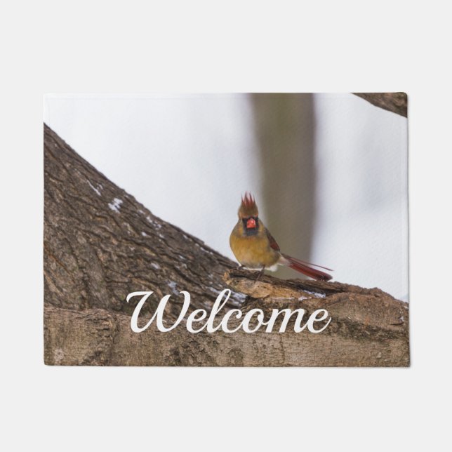 My Troll Do Welcome Doormat (Front)