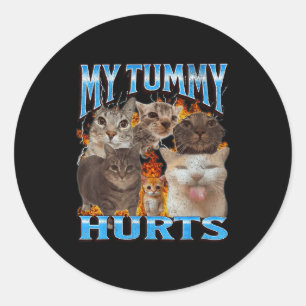 My Tummy Hurts Funny Cat Meme Bootleg Graphic Classic Round Sticker