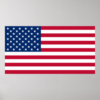 My USA Flag Poster