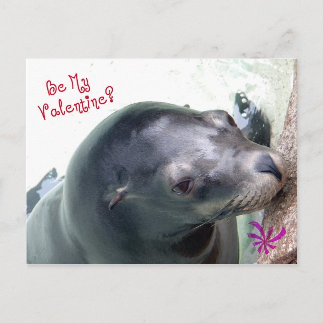 My Valentine Seal Holiday Postcard (Front)