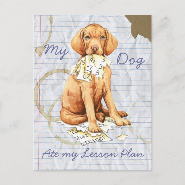 My Vizsla Ate my Lesson Plan Postcard (Front)