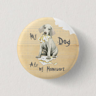 My Weimaraner Ate My Homework 3 Cm Round Badge