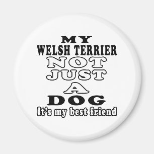 My Welsh Terrier Not Just A Dog Magnet