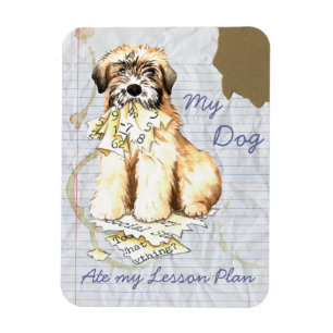 My Wheaten Ate My Lesson Plan Magnet