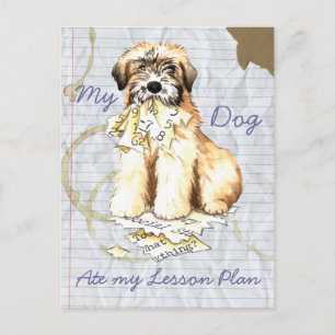 My Wheaten Ate My Lesson Plan Postcard
