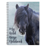 My Wild Horse
