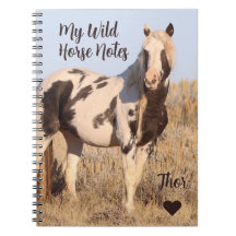 My Wild Horse Notes Thor