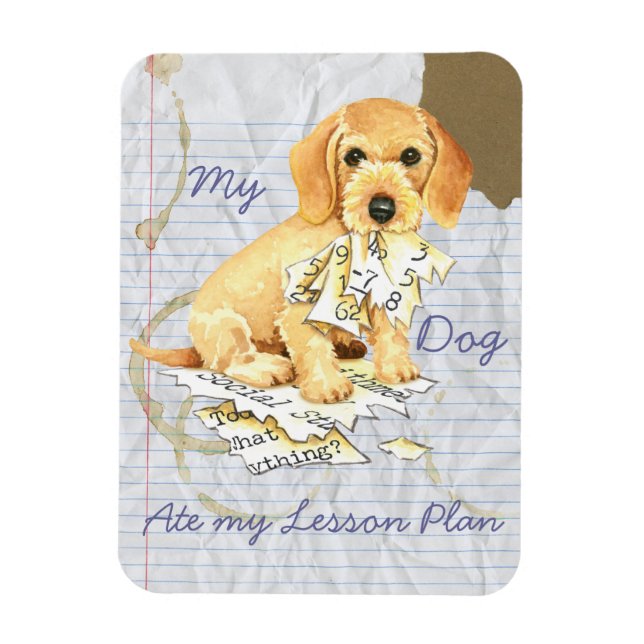 My Wirehaired Dachshund Ate my Lesson Plan Magnet (Vertical)