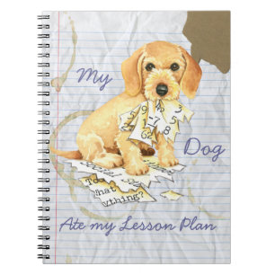 My Wirehaired Dachshund Ate my Lesson Plan Notebook
