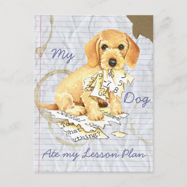 My Wirehaired Dachshund Ate my Lesson Plan Postcard (Front)