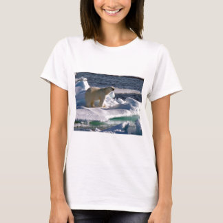 My World is melting! T-Shirt