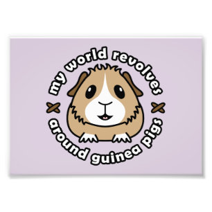My World Revolves...Guinea Pig Print