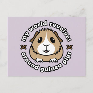 My World Revolves...Guinea Pigs Postcard